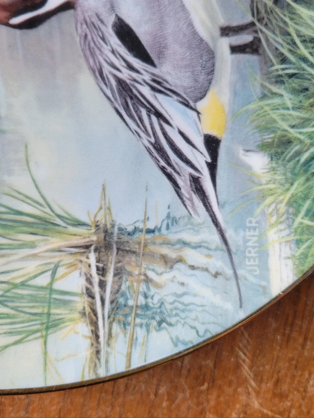 The Wildlife Society Knowles Bart Jerner Game Bird Plate The Pintail COA VCHAH